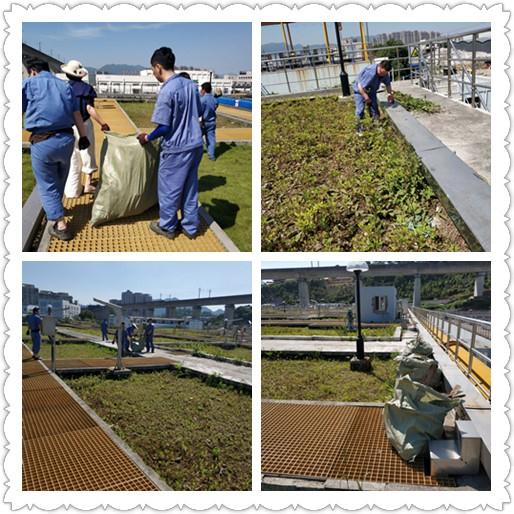 中国·8590am发现海洋财富(海洋之神)官方网站