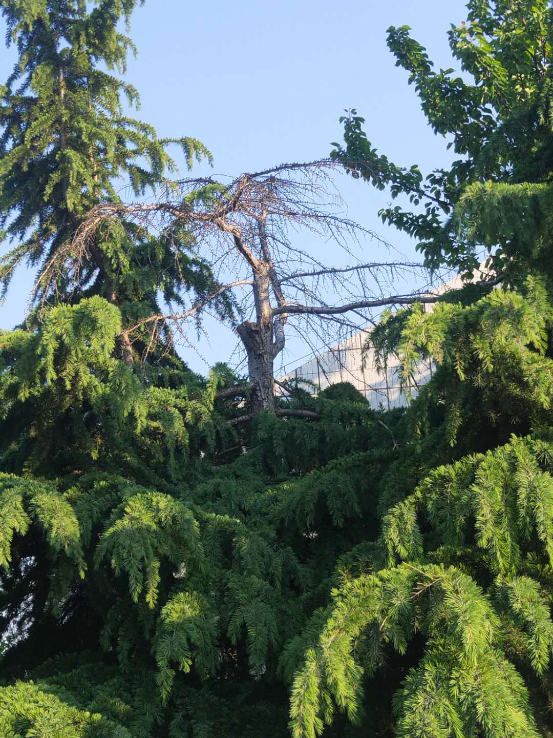 中国·8590am发现海洋财富(海洋之神)官方网站