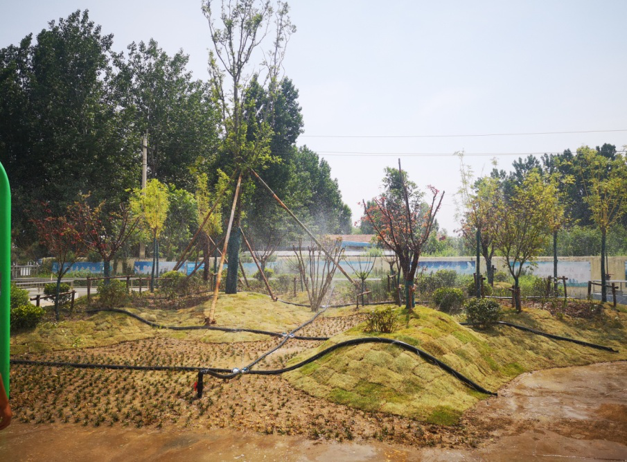 中国·8590am发现海洋财富(海洋之神)官方网站