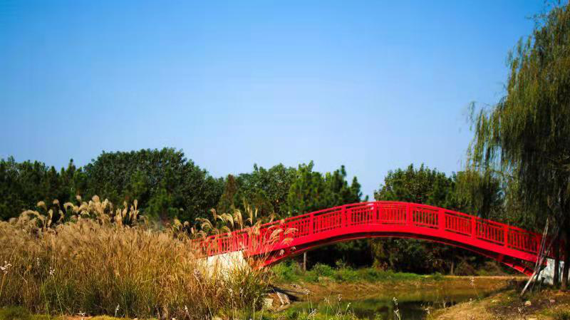 中国·8590am发现海洋财富(海洋之神)官方网站