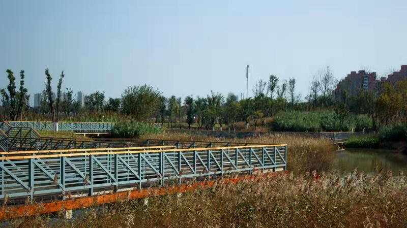 中国·8590am发现海洋财富(海洋之神)官方网站